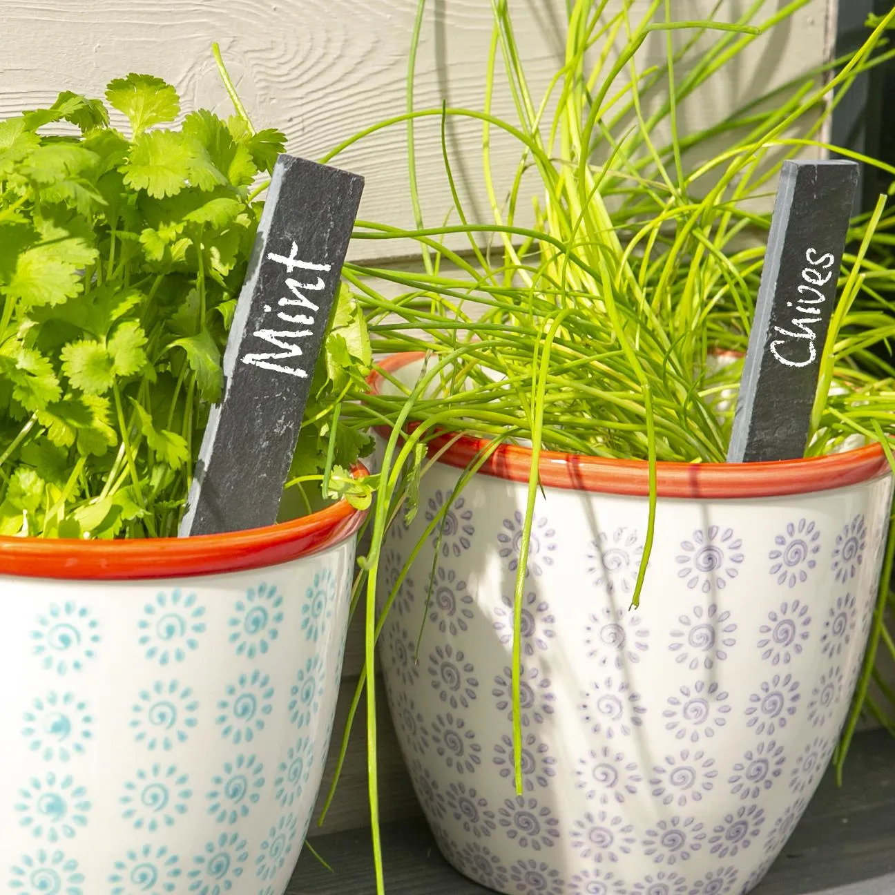 2cm x 15.5cm Slate Plant Markers - Pack of Six - By Nicola Spring