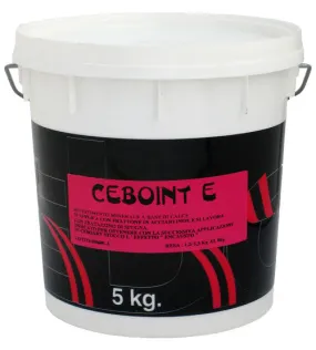 CeboArt CeboInt E
