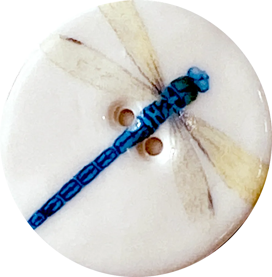 Dragonfly Porcelain Button 1-1/8" 2-hole, Handmade, London