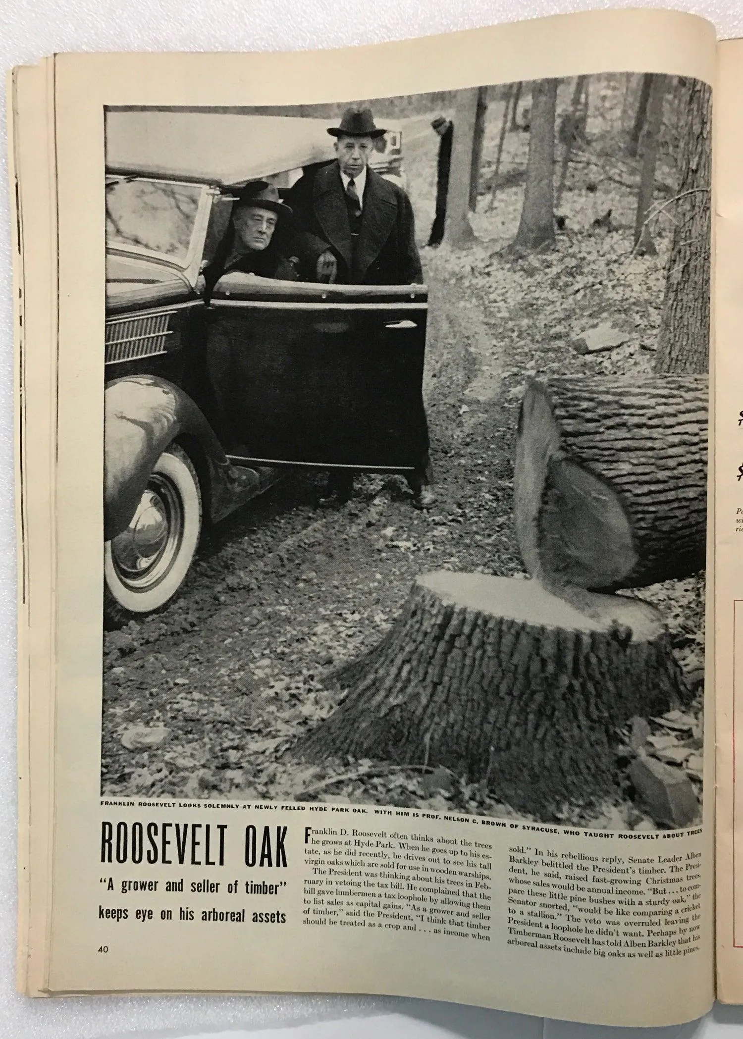 Life Magazine, April 3, 1944