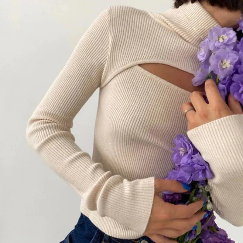 Long Sleeve Hollow Out Turtleneck Pullover Sweater