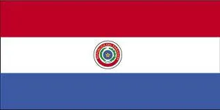 Paraguay Flag with Stick | 4" x 6"