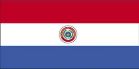 Paraguay Flag with Stick | 4" x 6"