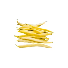Pencil Pod Black Wax Seeds | OSC Seeds