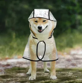 Raincoat with Hood