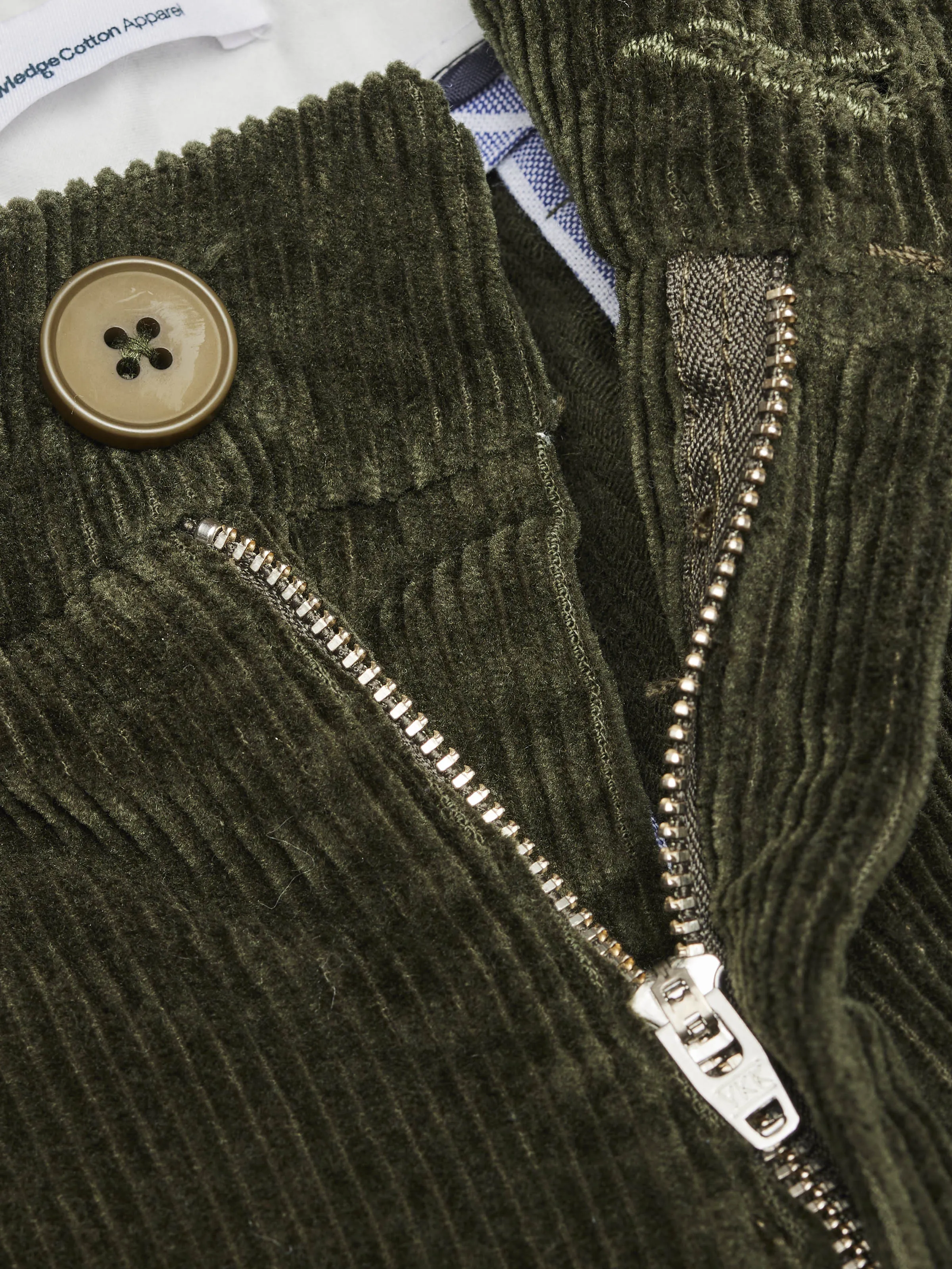 Regular 8-wales corduroy pant - Forrest Night