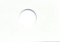 Stone White - Automotive Aerosol Spray Paint