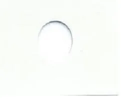 Stone White - Automotive Aerosol Spray Paint